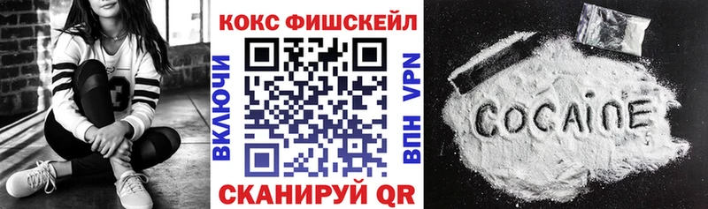Cocaine Fish Scale  Купить закладки  Мещовск 