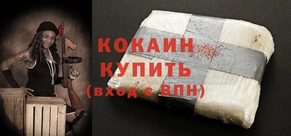 молекула духа Краснослободск
