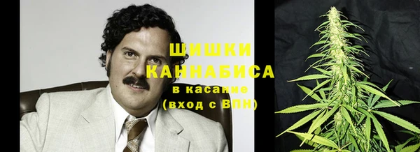 молекула духа Краснослободск