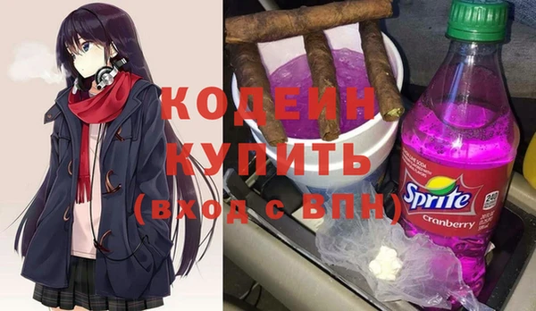 молекула духа Краснослободск