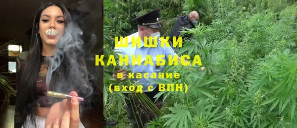 молекула духа Краснослободск