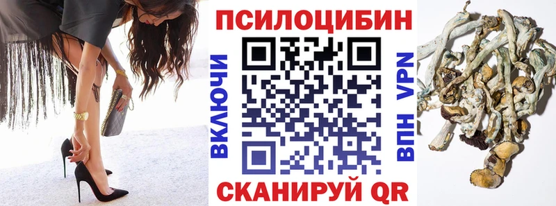 Галлюциногенные грибы MAGIC MUSHROOMS  Купить где  Мещовск 